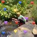 Mark Alfa - Facebook