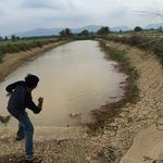 mark_aliff - @milo_tumpah - Instagram