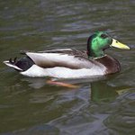 Mark Allard - @mallard2671 - Instagram