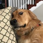 Mark Allard - @mallard015 - Instagram