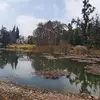 markoallegro - @markoallegro - TikTok