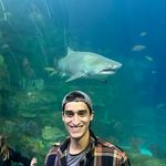 Mark Allred - @markallred1 - Instagram