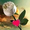 Mark Alperto - @mark.alperto - TikTok