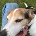 Mark Alvis - Facebook