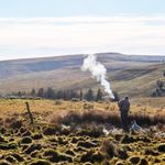 Mark Andersen - @markandersen35 - Instagram