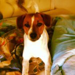 Mark Andreasen - @markcool456 - Instagram