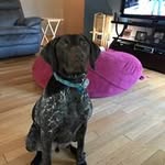 Mark Annen - @mark.annen - Instagram