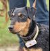 Markus Annen - Facebook