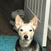 Mark Anson - Facebook