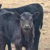Mark Anson 5 - @mark.anson.5 - TikTok