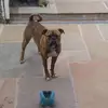 Mark Anson - @mark.anson8 - TikTok