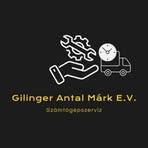 Antal Márk Gilinger - Facebook
