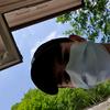 Mark Antal - @markantal - TikTok