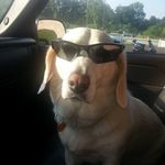 Mark Antrim - @antrimmark - Instagram