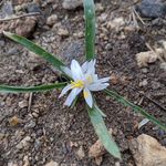 Mark Appel - @markappel3 - Instagram