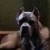 Mark Arbaugh - Facebook