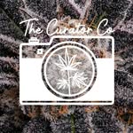 Mark Archer - @thecuratorco.me - Instagram