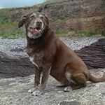 Mark Archer - @mark.archer.338211 - Instagram