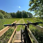 Mark Archer - @mark_archer_1970 - Instagram