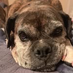 Mark Argo - @argomark30 - Instagram
