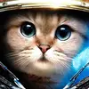 Mark Arnold - @mark.arnold3 - TikTok