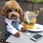 Mark Aronson - @markalanaronson2003 - Instagram