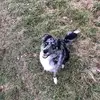 Mark Ashby - @mark.ashby - TikTok