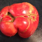 Ashland Farmer's Market - @ashlandfarmersmarketva - Instagram