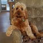 Mark Atchison - @mark.atchison.355 - Instagram