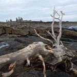 Mark Atkinson - @mark.atkinson1962 - Instagram