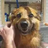 Mark Atkinson - @mark.atkinson7 - TikTok