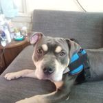 mark audette - @audettemark8 - Instagram