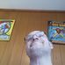 Mark Audette - Facebook