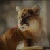 Mark Auer - Facebook