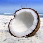 Mark Auer - @coconuttking - Instagram