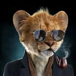 Mark Augustine - @mark575_augustine - Instagram
