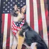 Mark Augustine - @mark.augustine1 - TikTok