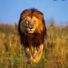 Augustus Marks - @augustus.marks - TikTok