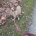 Mark Aungst - Facebook