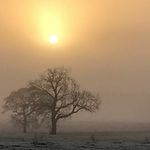 Mark averill - @mark81564 - Instagram