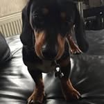 Mark Ayres - @mark.ayres.967 - Instagram