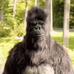 Mark baas - @markbaas8283 - Instagram