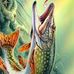 Marek Babinski - Facebook