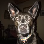 Mark Bachman - Facebook