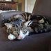 Mark Bader - Facebook