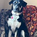 Mark Bahner - @bahnermark - Instagram