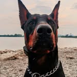 Mark Bai - @m.a.r.k_b.a.i - Instagram