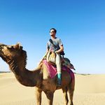 Mark Baldino - @marktbaldino - Instagram