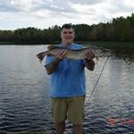 Mark Baldino - @baldinomark - Instagram