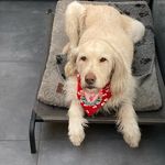 Mark  Baldock - @baldock_mark - Instagram